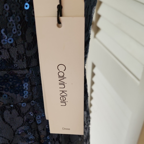 Blue Lace and Sequin Embellished Gown - Picture 3 of 17